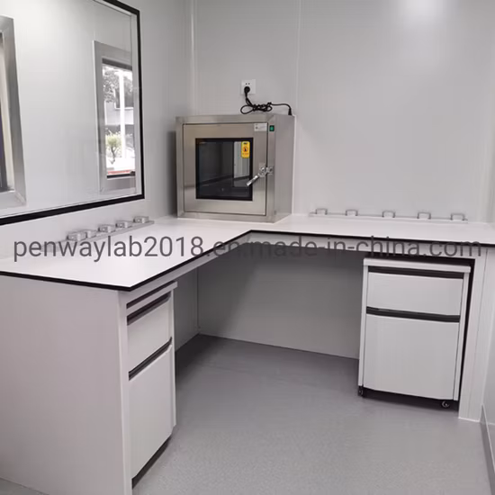 Quick Detection Laboratory Mobile Container PCR Lab